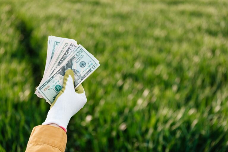 Park Idle Cash
